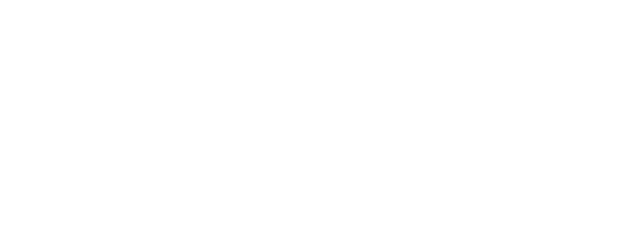 The Literary Curriculum